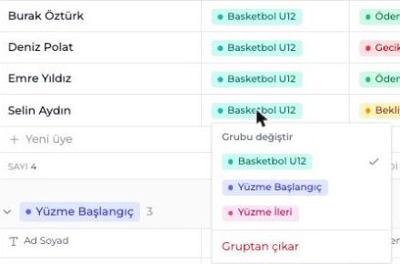 Basit Mod: üyenin grubunu değiştirme menüsü