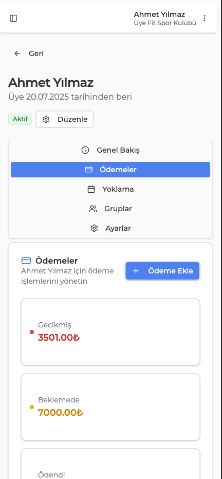 Mobile App Interface